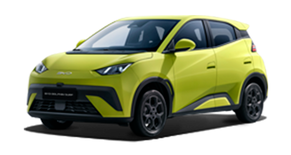 BYD Dolphin Surf